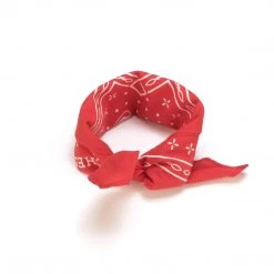 Lucchese-inc Western Bandana :: Red Other Accessories