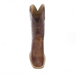 Lucchesse-inc Homer :: Cigar