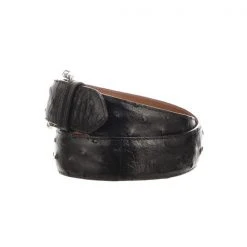 Lucchese-inc Full Quill Ostrich :: Black Belts