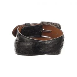 Lucchese-inc Full Quill Ostrich :: Black Belts