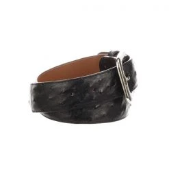 Lucchese-inc Full Quill Ostrich :: Black Belts
