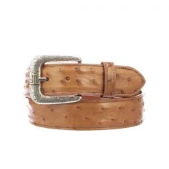 Lucchese-inc Full Quill Ostrich :: Cognac Belts