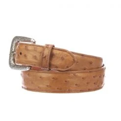 Lucchese-inc Full Quill Ostrich :: Cognac Belts