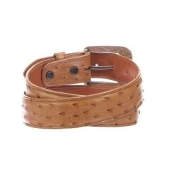 Lucchese-inc Full Quill Ostrich :: Cognac Belts