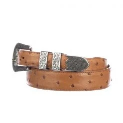 Lucchese-inc Belts Full Quill Ostrich Tapered :: Cognac