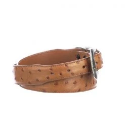 Lucchese-inc Belts Full Quill Ostrich Tapered :: Cognac