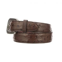Lucchese-inc Belts Full Quill Ostrich :: Sienna