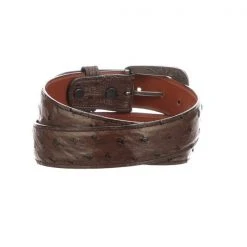 Lucchese-inc Belts Full Quill Ostrich :: Sienna