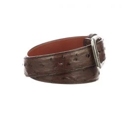 Lucchese-inc Belts Full Quill Ostrich :: Sienna