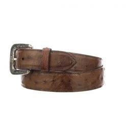 Lucchese-inc Belts Full Quill Ostrich :: Barnwood