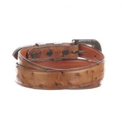 Lucchese-inc Full Quill Ostrich Tapered :: Barnwood