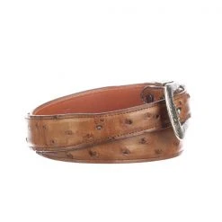 Lucchese-inc Full Quill Ostrich Tapered :: Barnwood